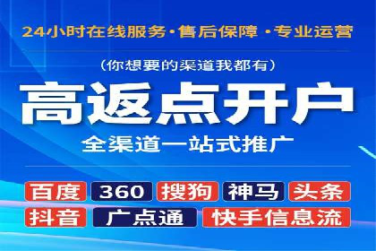 百度竞价赚钱攻略：实战案例分享